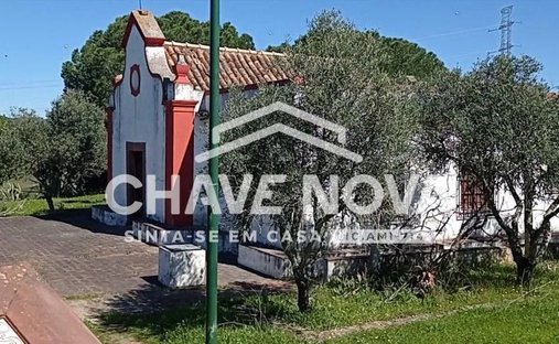 Terreno a São Bartolomeu de Messines, Algarve, Portogallo 1