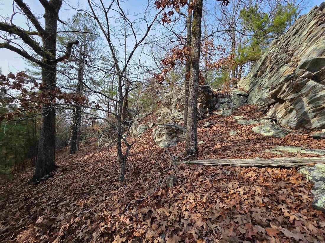 Land in Cammack Village, Arkansas, United States 5 - 17075816