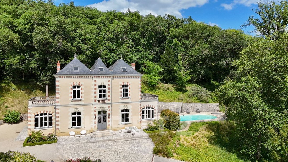 House in Saint-Benoit-la-Foret, Centre-Val de Loire, France 1 - 16155343