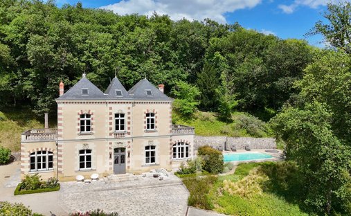 House in Saint-Benoit-la-Foret, Centre-Val de Loire, France 1