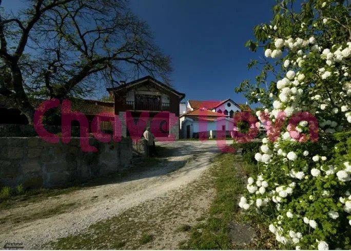 Villa in Santa Cruz da Trapa e Sao Cristovao de Lafoes, Viseu District, Portugal 5 - 17081464