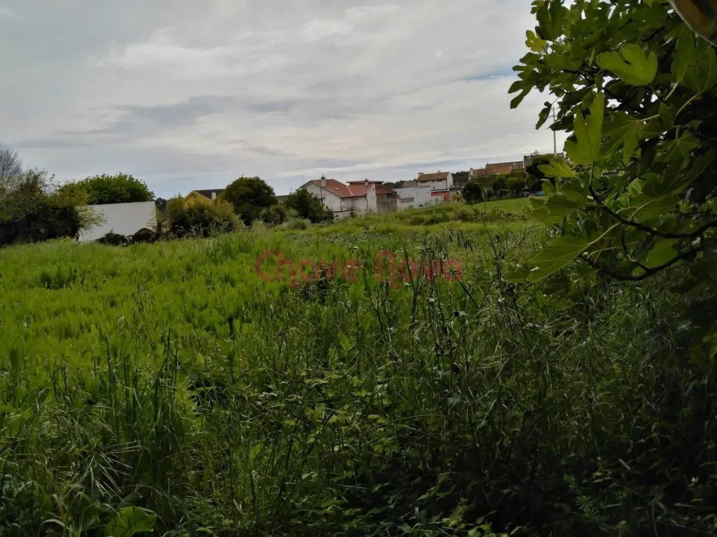 Apartment in Matosinhos e Leca da Palmeira, Porto District, Portugal 5 - 17081110