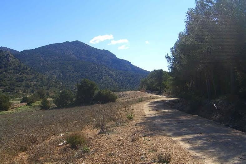 Land in Lorca, Region of Murcia, Spain 4 - 17082865