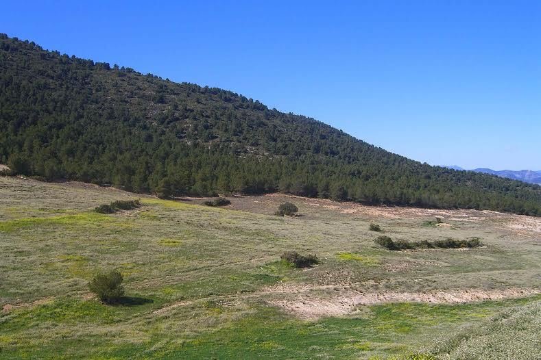 Land in Lorca, Region of Murcia, Spain 5 - 17082865