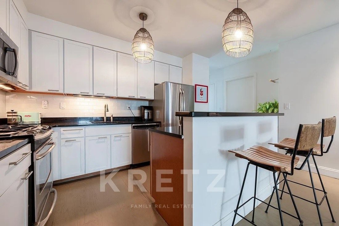 Apartment in New York, New York, United States 5 - 15302253