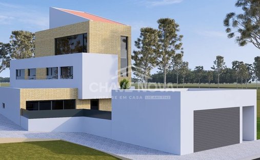 House in Santa Marinha e Sao Pedro da Afurada, Porto District, Portugal 1