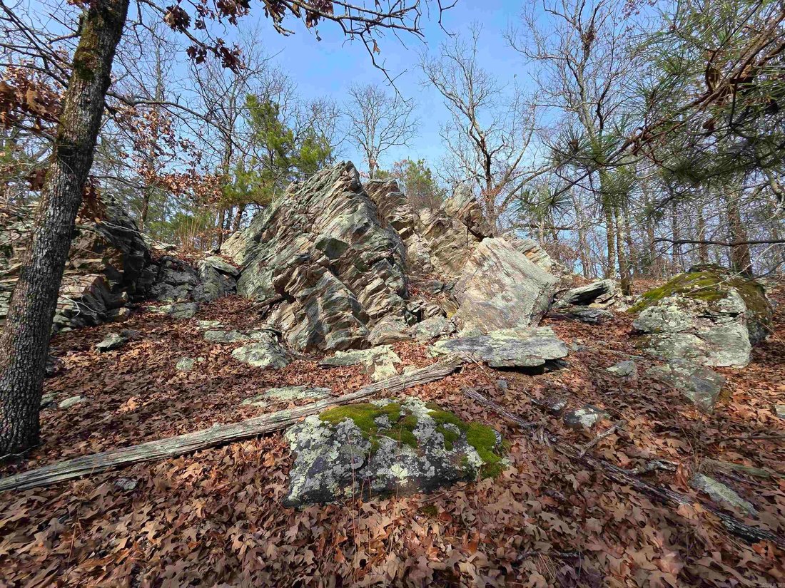 Land in Cammack Village, Arkansas, United States 4 - 17075816