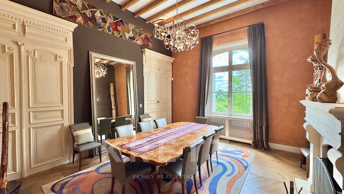 House in Saint-Benoit-la-Foret, Centre-Val de Loire, France 4 - 16155343