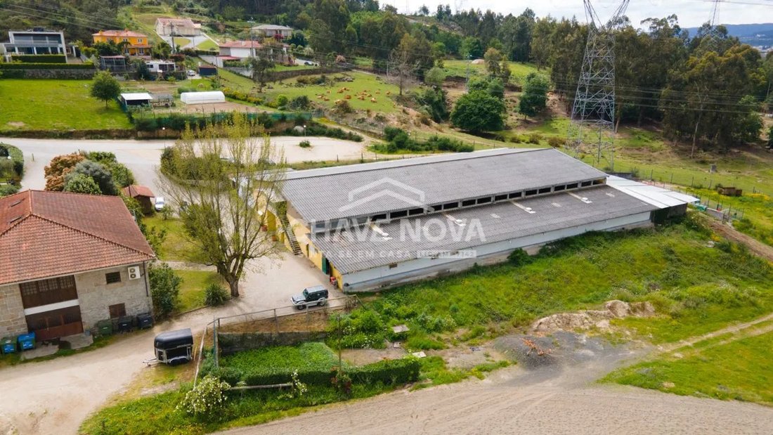 Villa in Fermentoes, Braga, Portugal 3 - 17080273