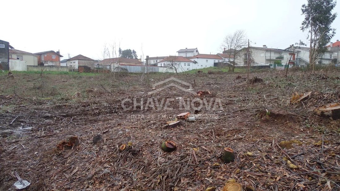 Land in Sanguedo, Aveiro District, Portugal 4 - 17081931