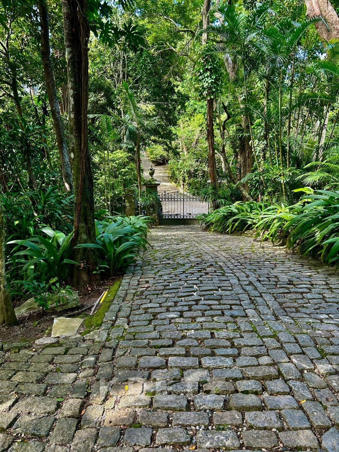 House in Rio de Janeiro, State of Rio de Janeiro, Brazil 1 - 16115255