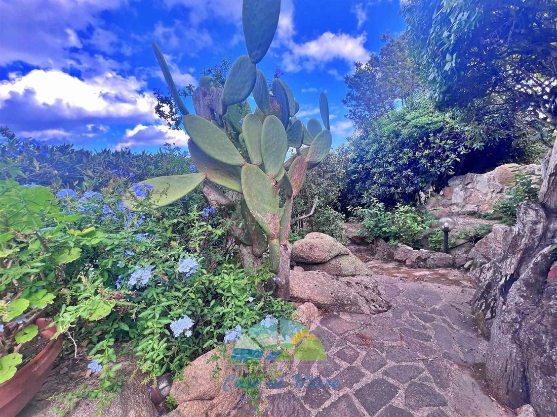 Villa in Palau, Sardinia, Italy 4 - 17079140