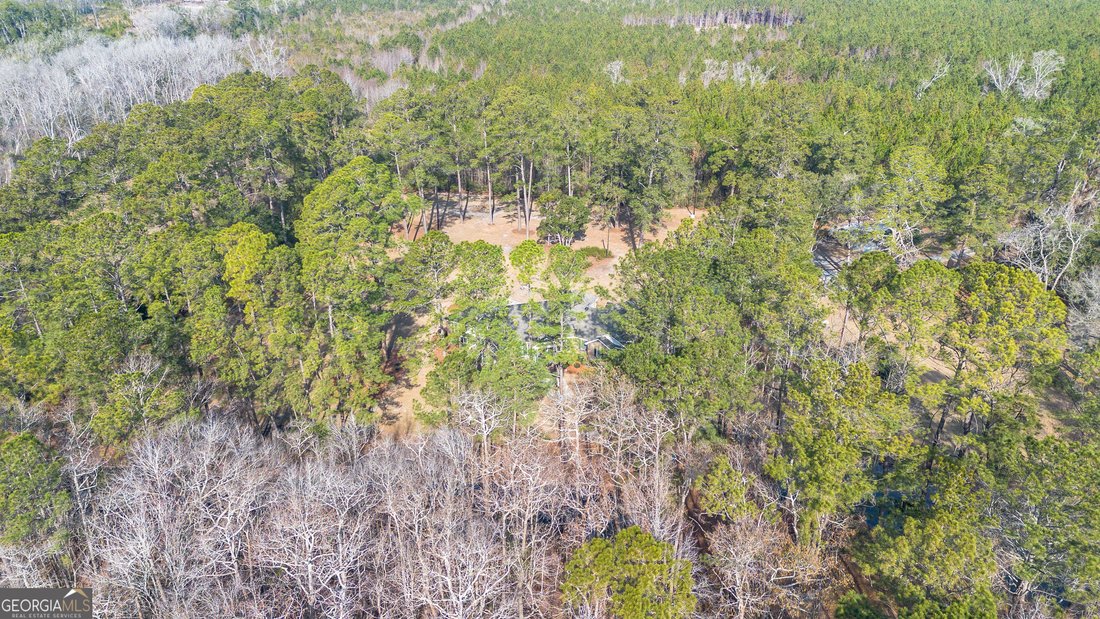 House in Springfield, Georgia, United States 5 - 17077326