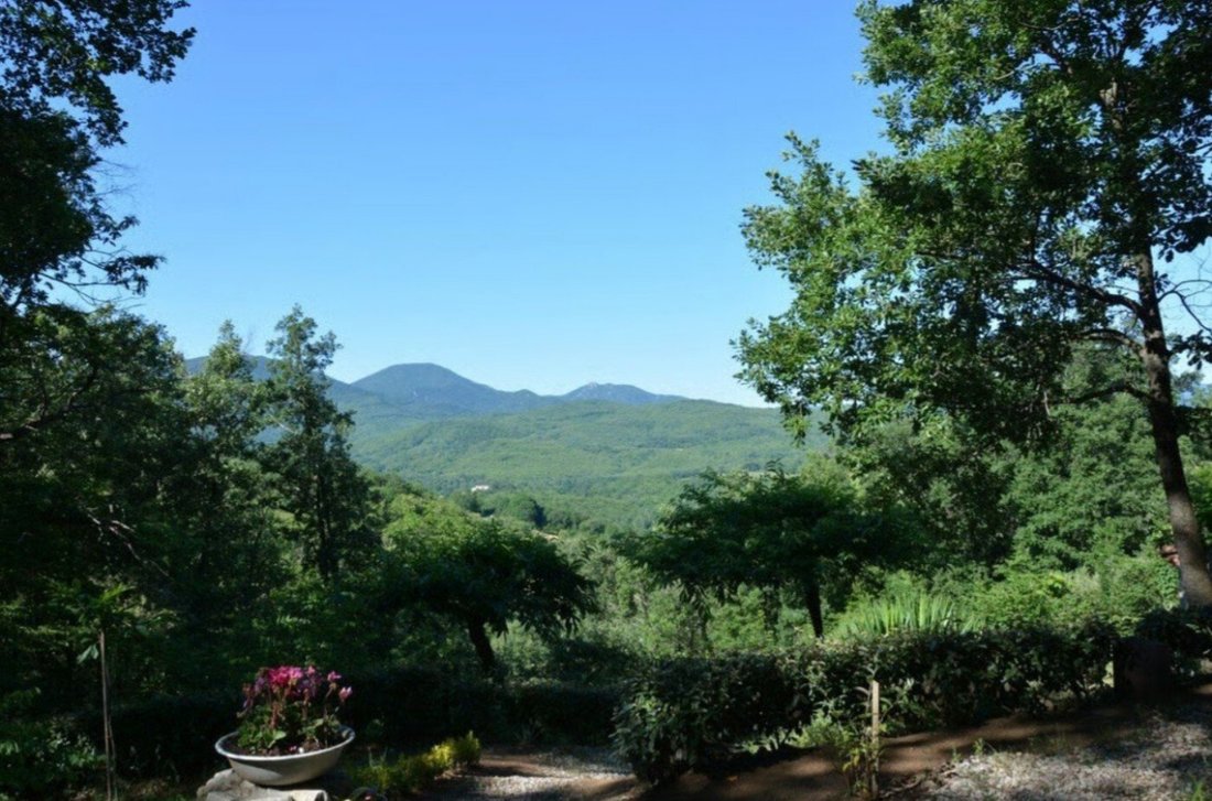 Estate in Saint-Laurent-de-Cerdans, Occitania, France 2 - 17075185