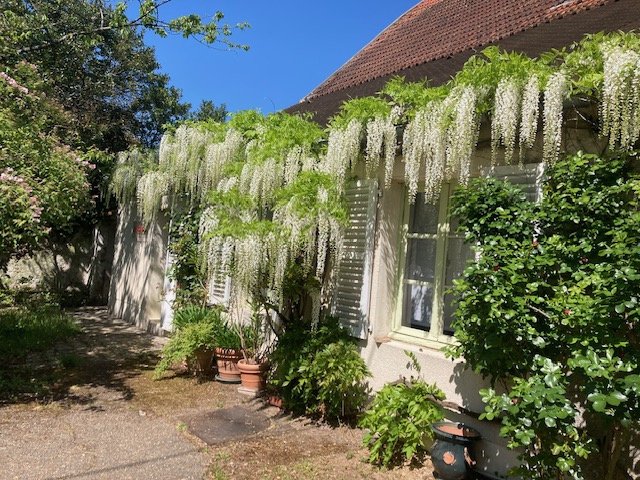 House in Gif-sur-Yvette, Ile-de-France, France 3 - 17075077