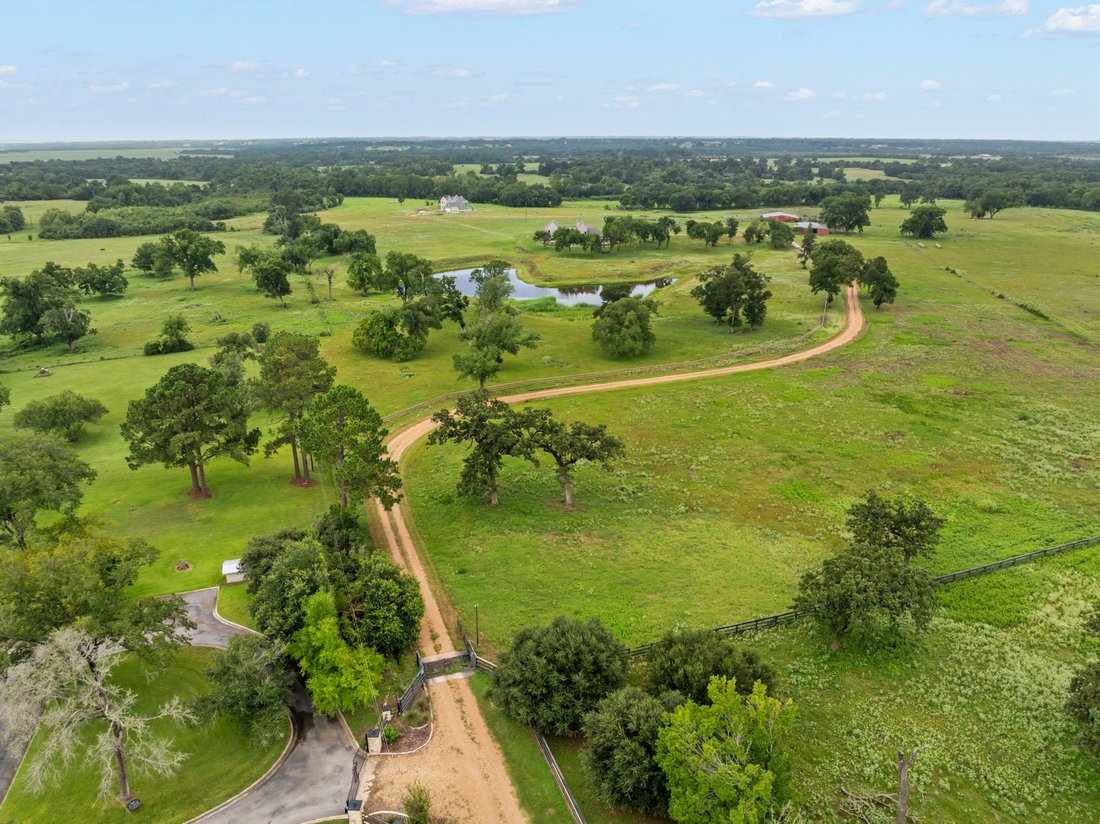 Washington, Texas, United States 2 - 17086485