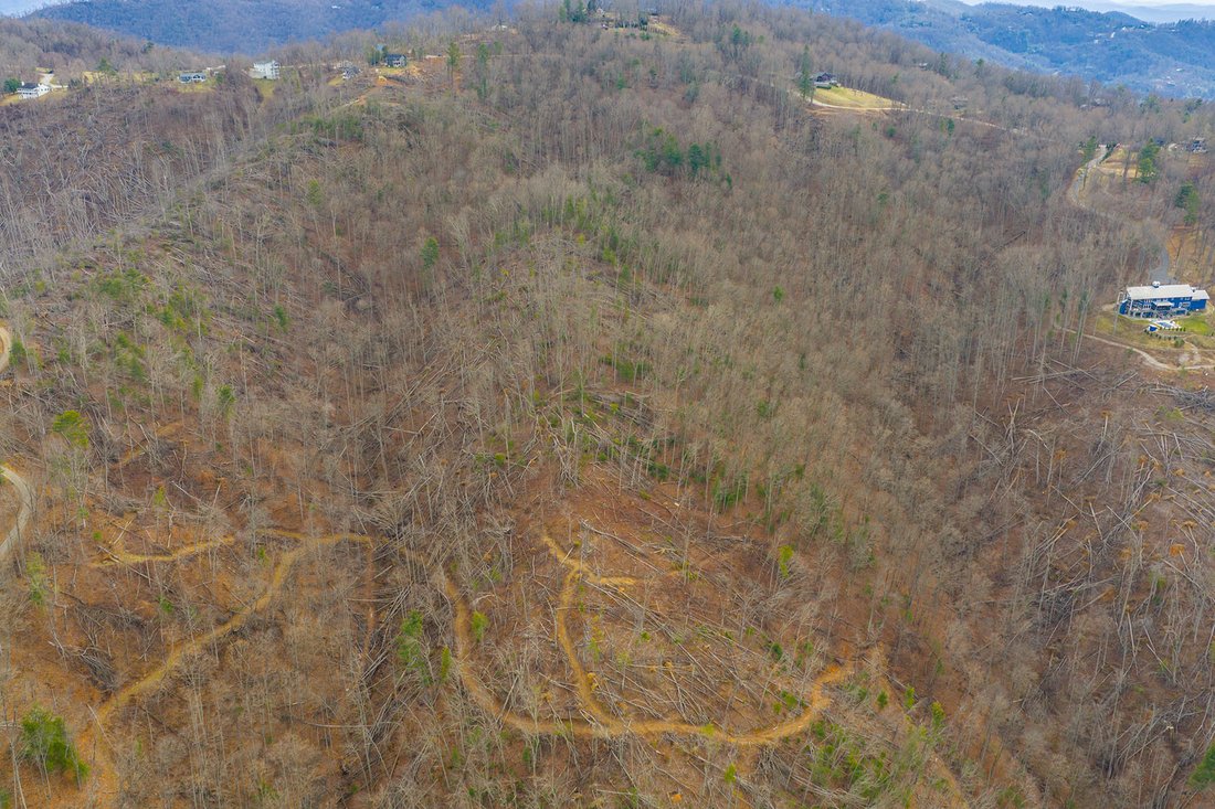 Land in Asheville, North Carolina, United States 5 - 17086504