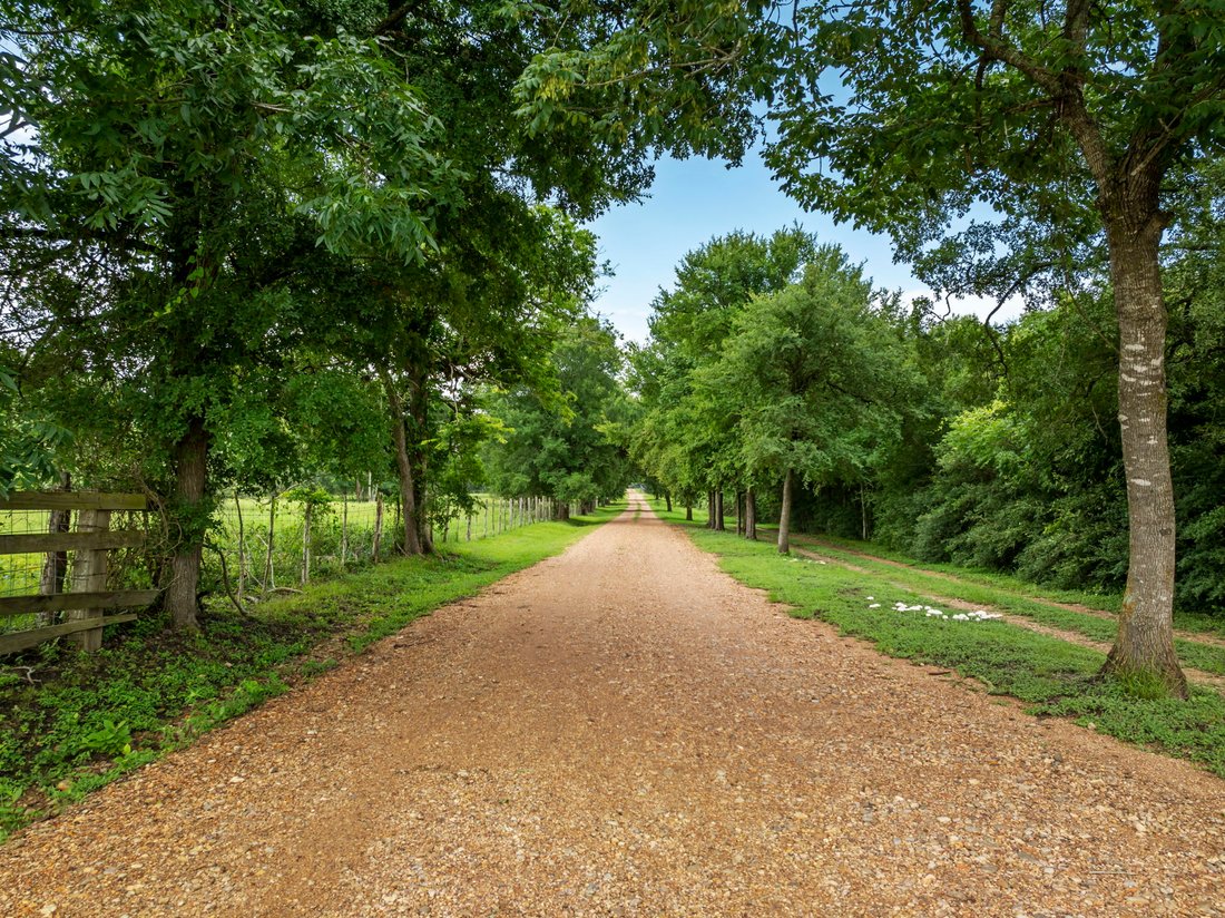Washington, Texas, United States 3 - 17086485