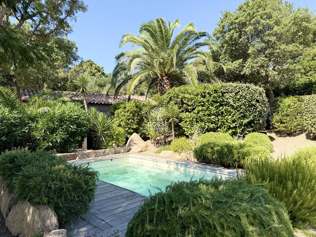 House in Lecci, Corsica, France 4 - 17085738
