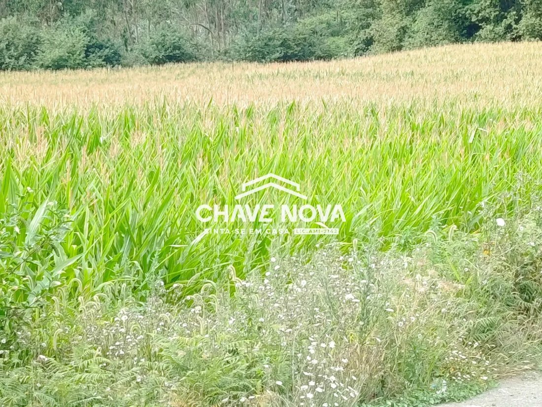 Land in Santa Maria da Feira, Aveiro District, Portugal 1 - 17089984