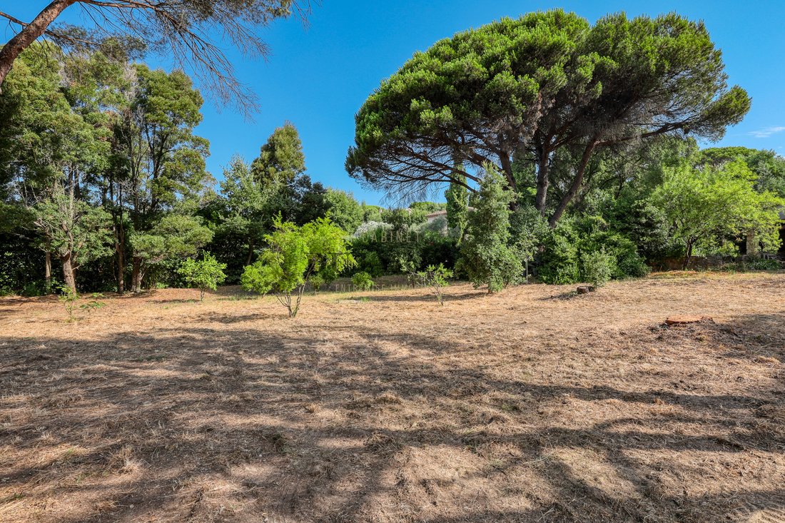 Zone Ouest Urbaine, Saint-Tropez, France 1 - 17091682