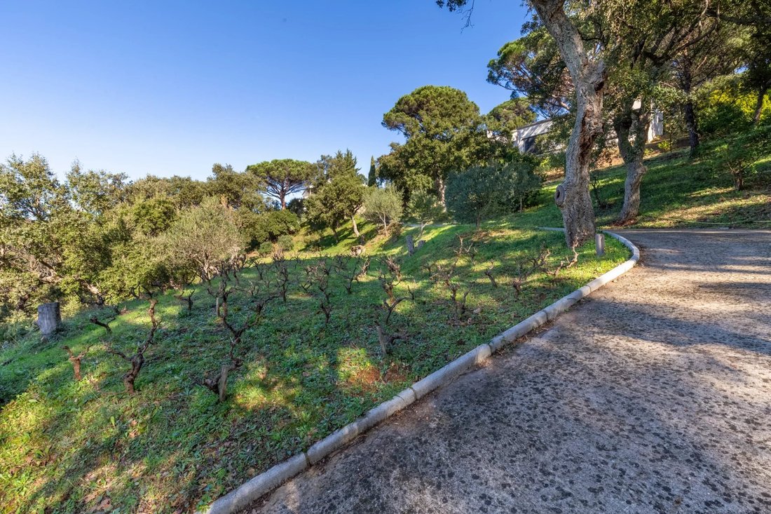Villa in La Croix-Valmer, Provence-Alpes-Côte d'Azur, France 5 - 17093549