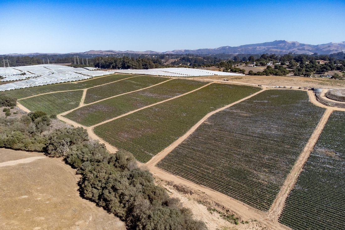 Land in Salinas, California, United States 1 - 15669170