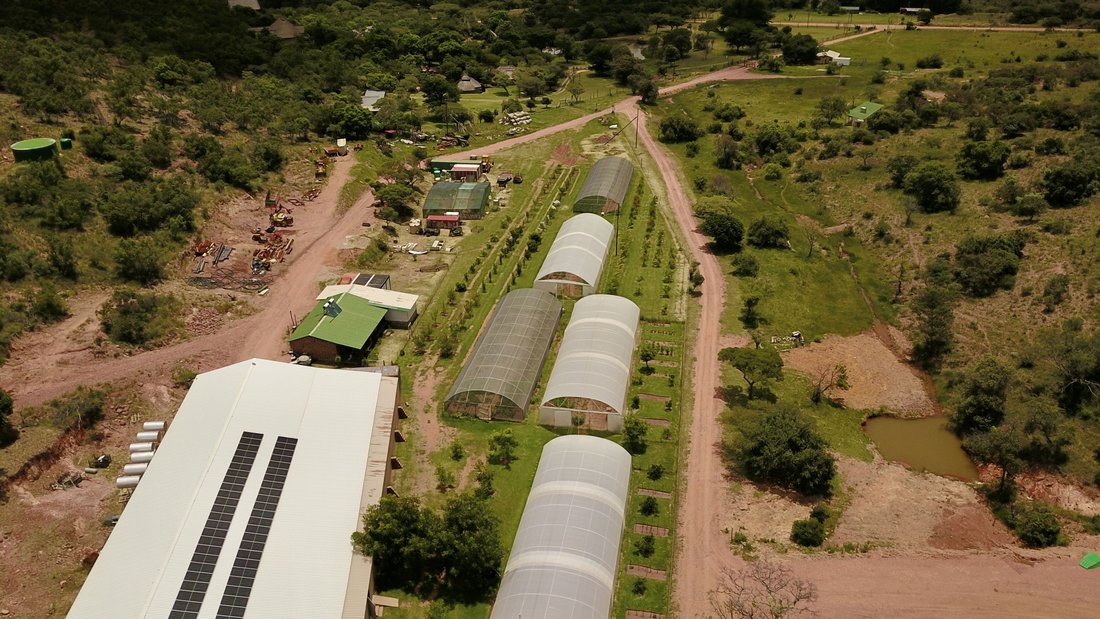 Farm Ranch in Bela-Bela, Limpopo, South Africa 3 - 17091411