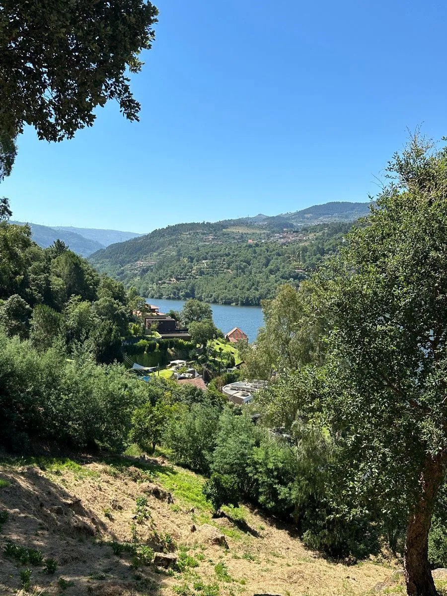 Land in Ancede e Ribadouro, Porto District, Portugal 5 - 17089936
