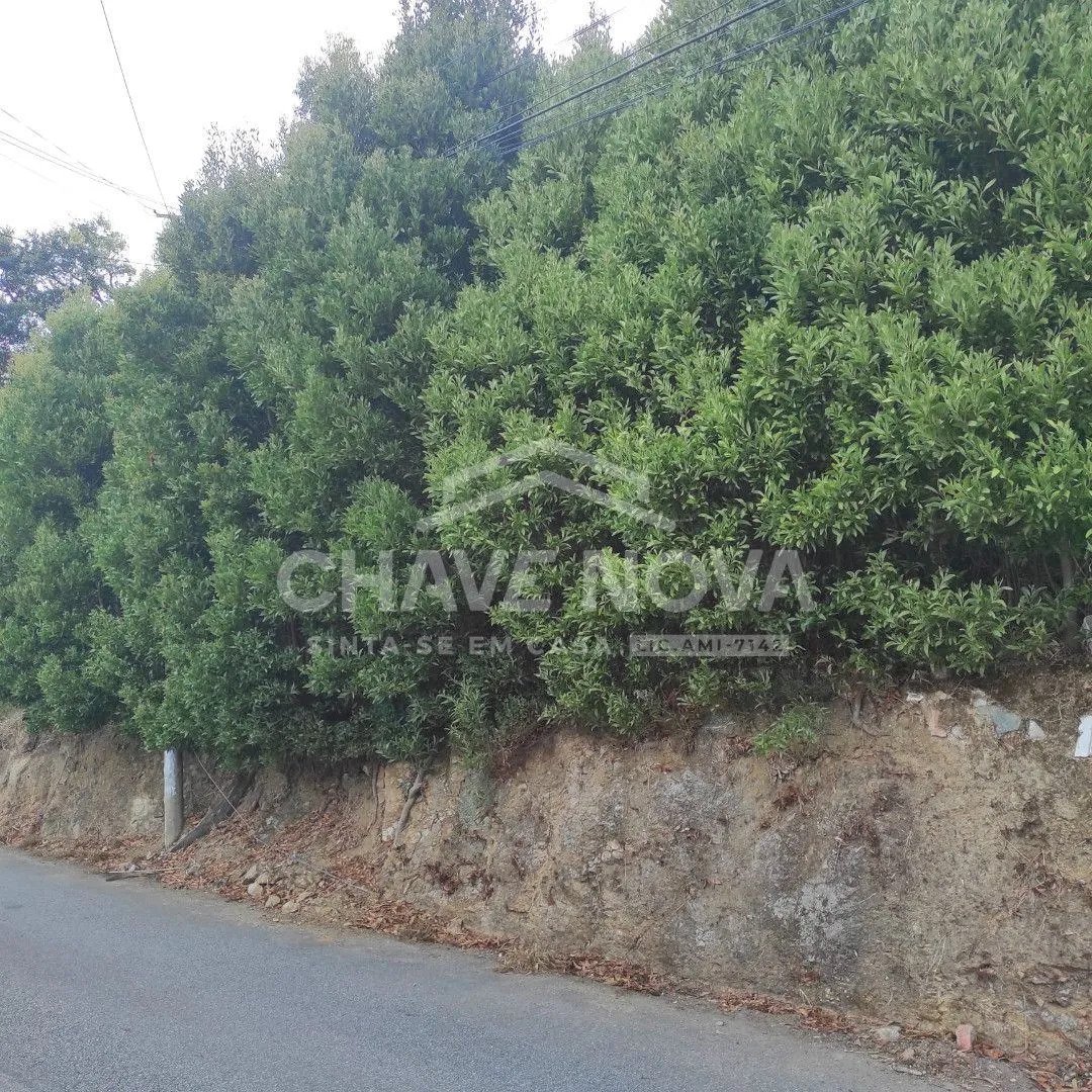 Land in Campelo, Porto District, Portugal 3 - 17090112