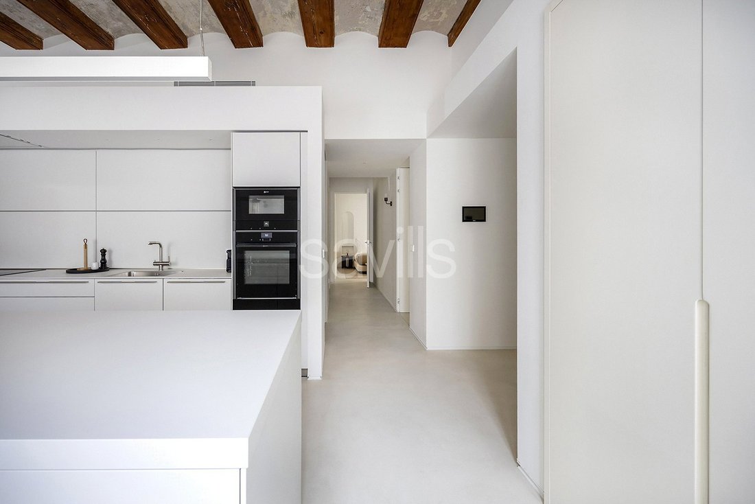 Apartment in Ciutat Vella, Barcelona, Spain 5 - 17090952