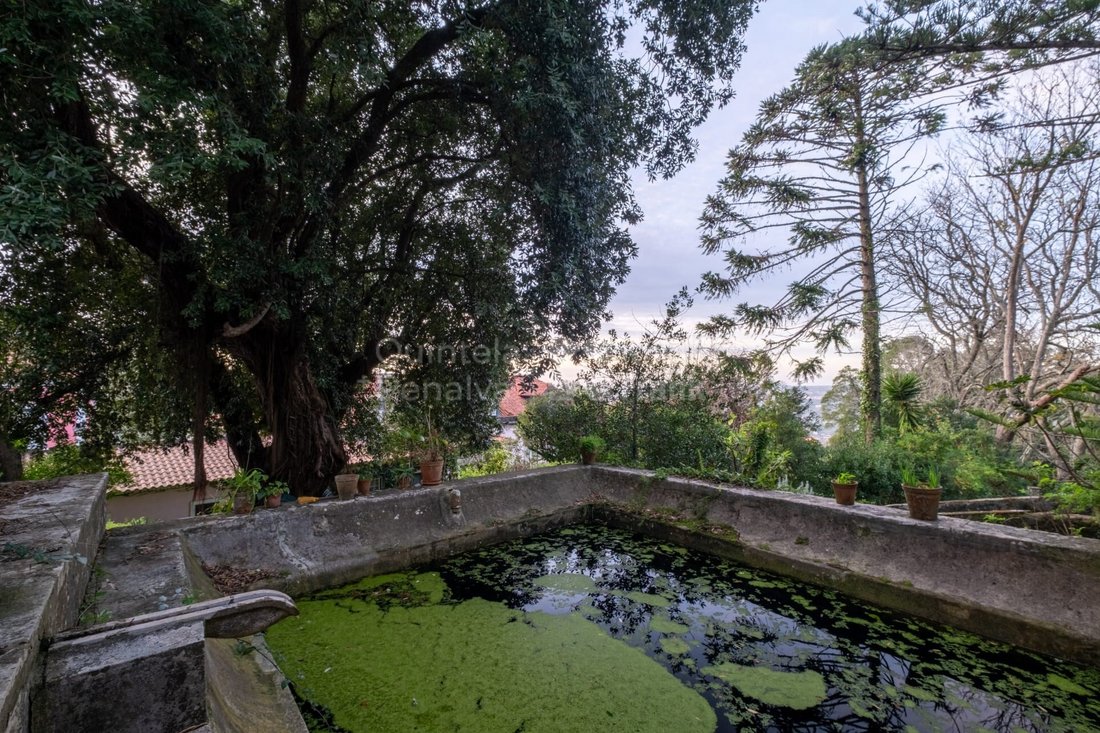 Finca in Sintra, Lisbon, Portugal 4 - 16899212