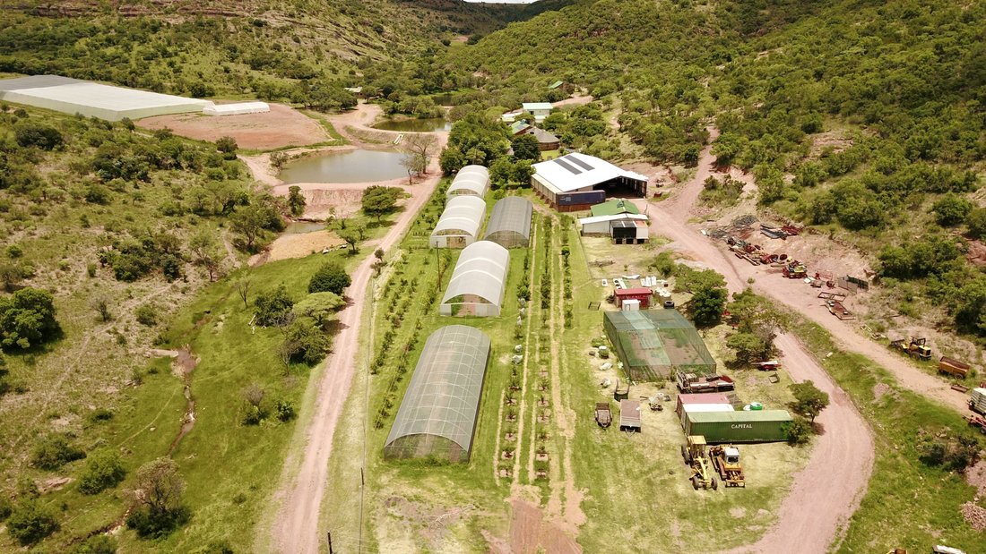 Farm Ranch in Bela-Bela, Limpopo, South Africa 5 - 17091411