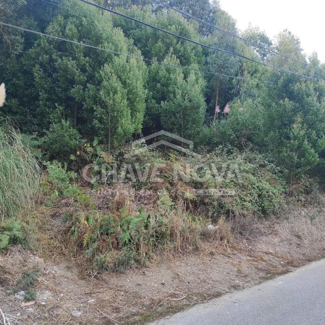 Land in Campelo, Porto District, Portugal 2 - 17090112