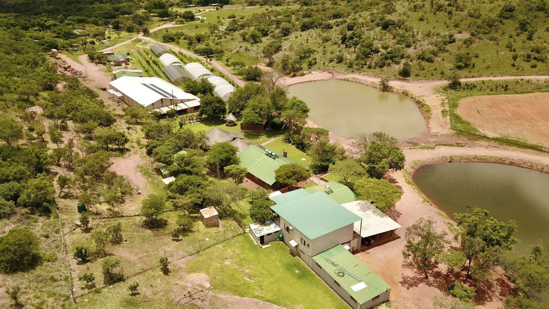 Farm Ranch in Bela-Bela, Limpopo, South Africa 1 - 17091411