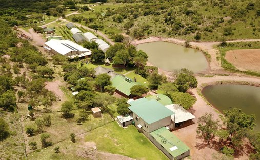 Farm Ranch in Waterberg Estate, Limpopo, South Africa 1