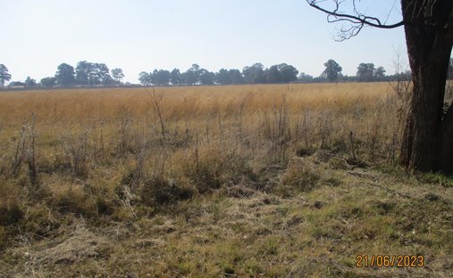 Land in Ogies, Mpumalanga, South Africa 1