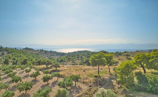 Land in Koinotita Kranidiou, Kranidi, Greece 1