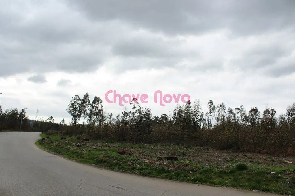 Land in Santa Maria da Feira, Aveiro District, Portugal 4 - 17090118