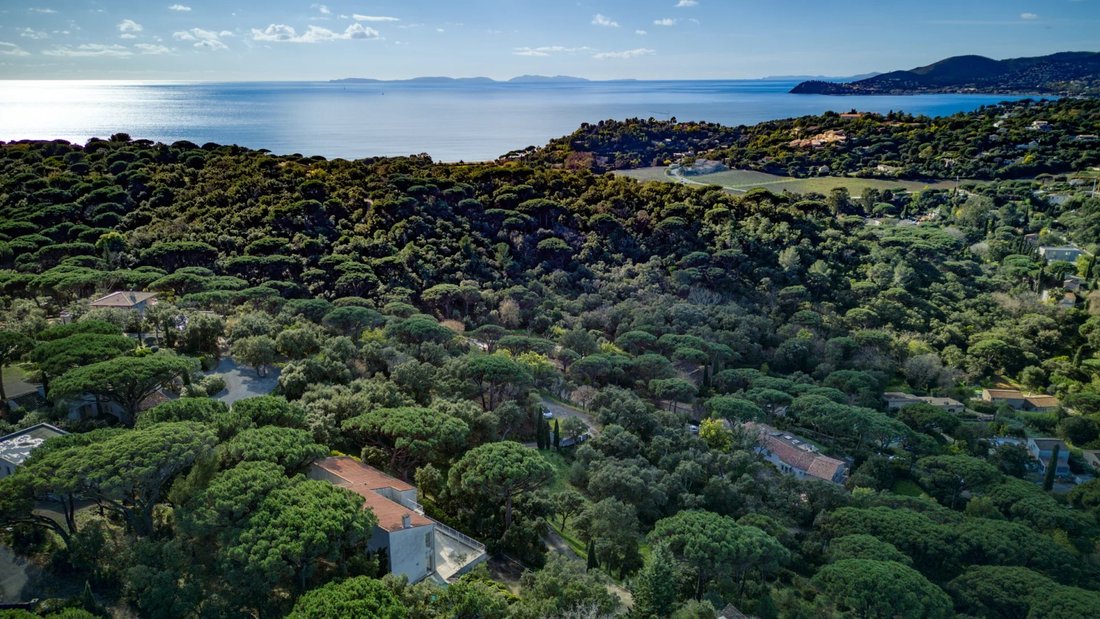 Villa in La Croix-Valmer, Provence-Alpes-Côte d'Azur, France 3 - 17093549