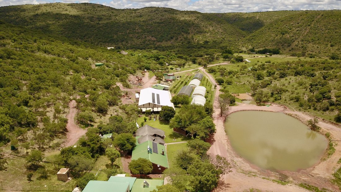 Farm Ranch in Bela-Bela, Limpopo, South Africa 4 - 17091411