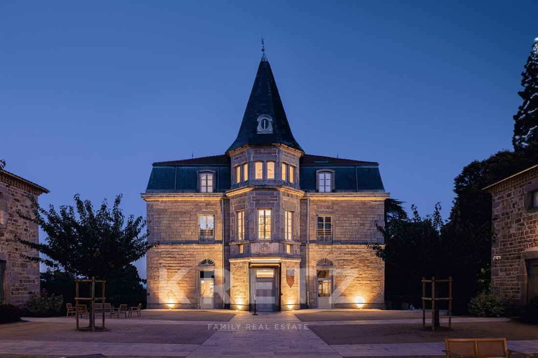 Castle in Marols, Auvergne-Rhône-Alpes, France 5 - 16995679