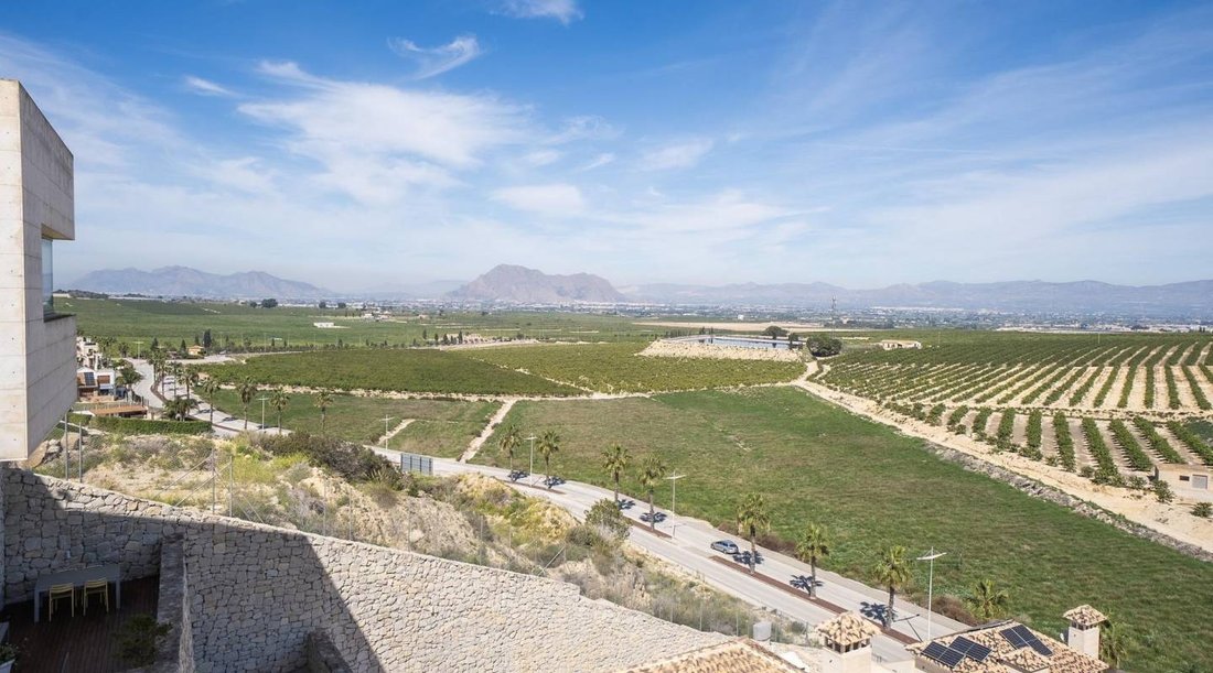 Villa in Algorfa, Land Valencia, Spanien 4 - 17095128