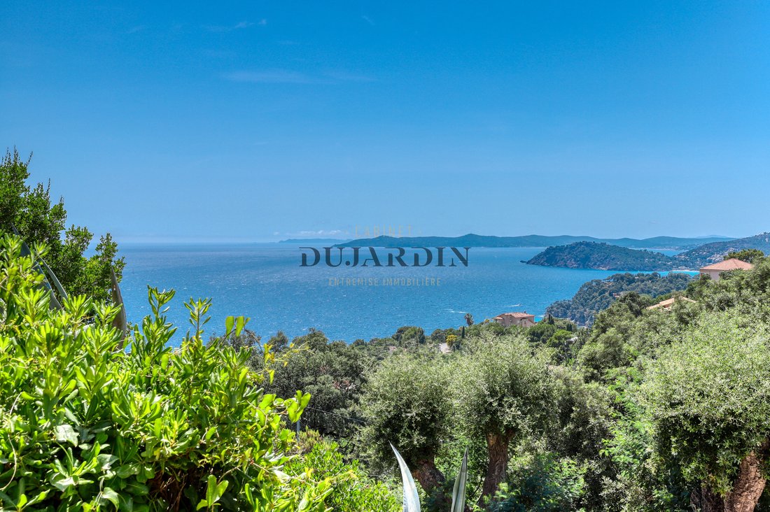 Villa in Rayol-Canadel-sur-Mer, Provence-Alpes-Côte d'Azur, France 2 - 17091560
