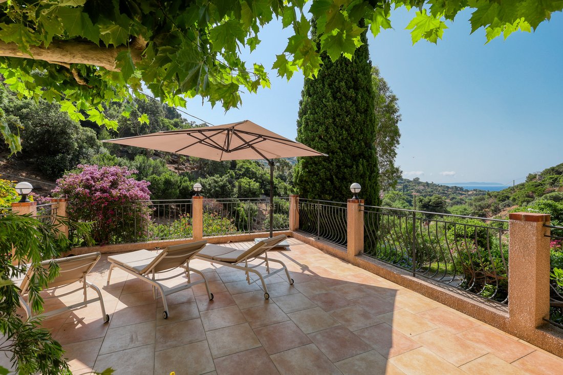 House in Le Lavandou, Provence-Alpes-Côte d'Azur, France 4 - 17091693