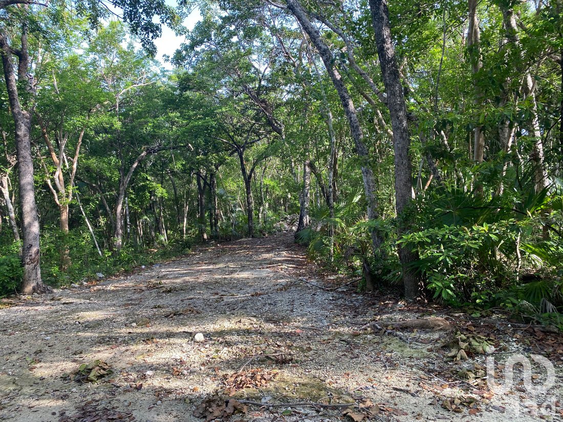 Land in Tulum, Quintana Roo, Mexico 1 - 17090571