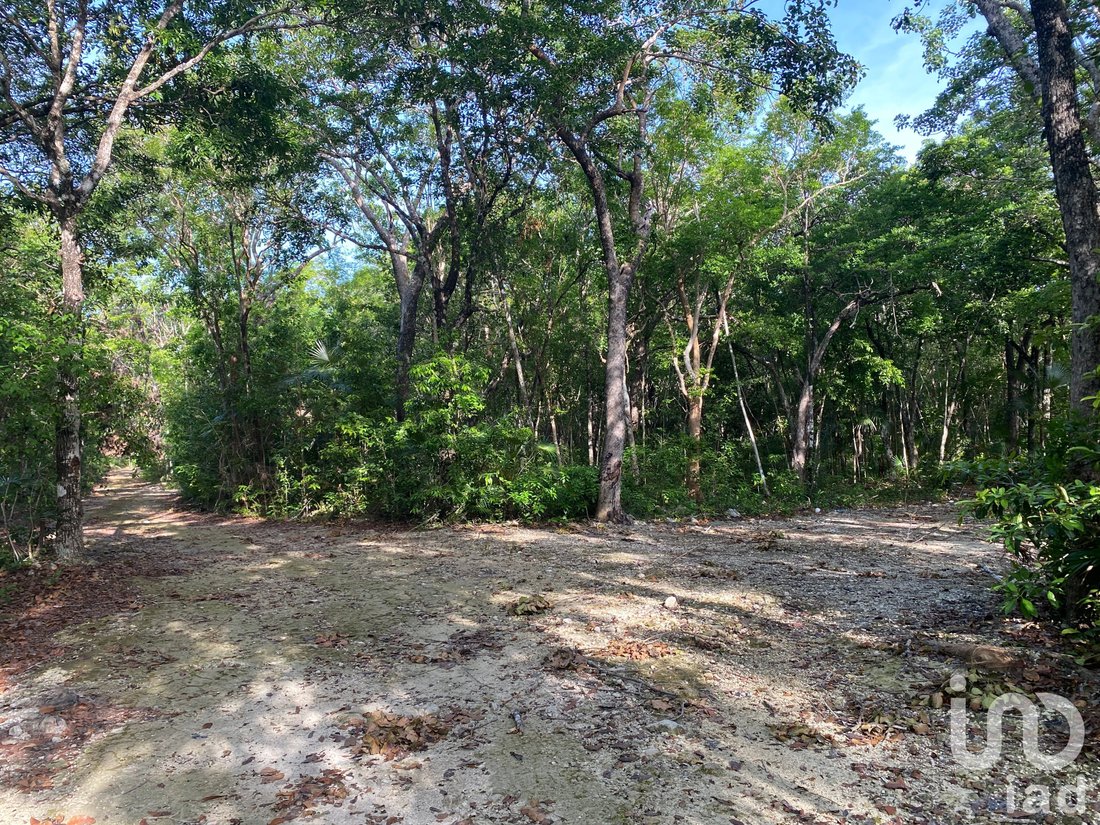 Land in Tulum, Quintana Roo, Mexico 5 - 17090571