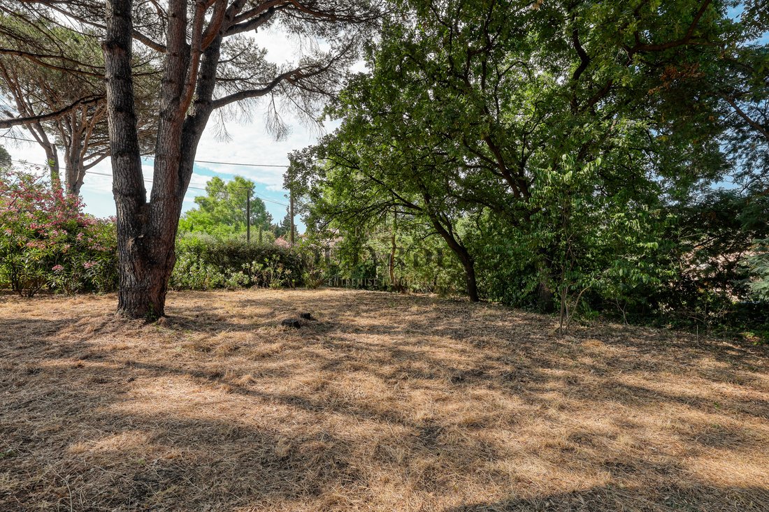 Zone Ouest Urbaine, Saint-Tropez, France 4 - 17091682