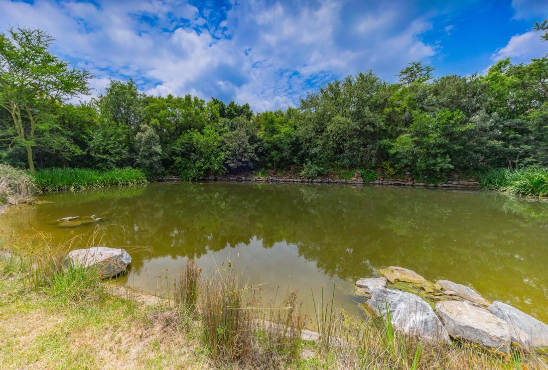 Land in Waterfall Equestrian Estate, Gauteng, South Africa 3 - 17095157