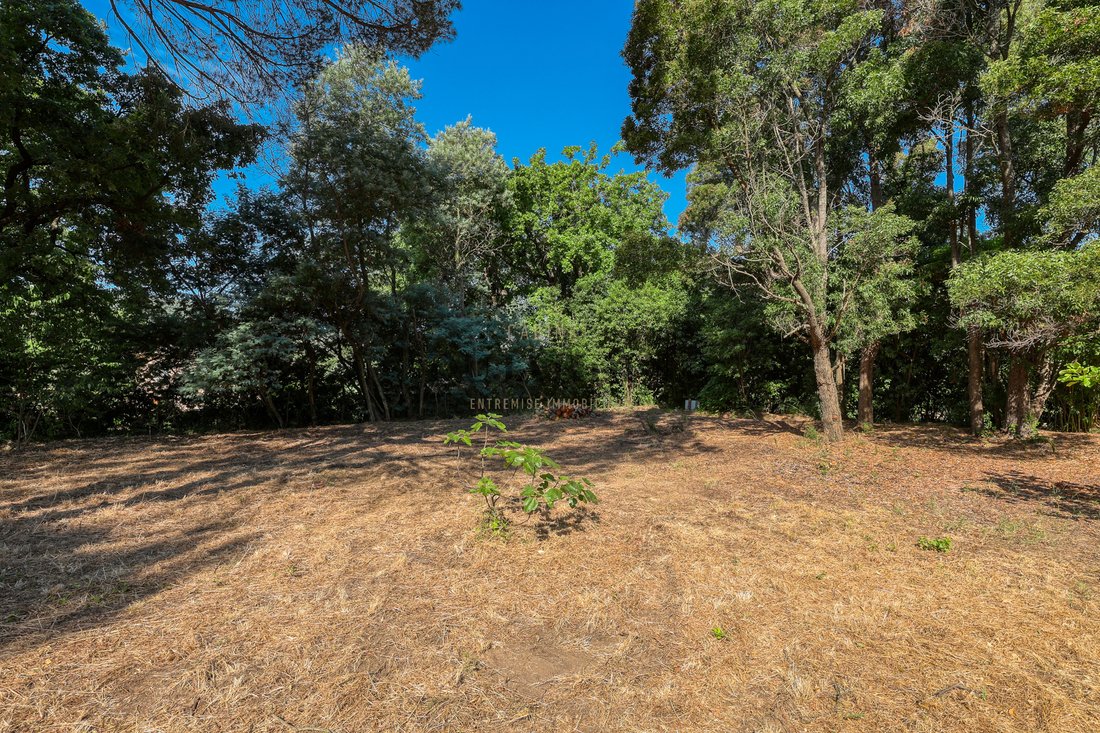 Zone Ouest Urbaine, Saint-Tropez, France 5 - 17091682